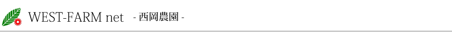 WEST-FARM net- �����_�� -